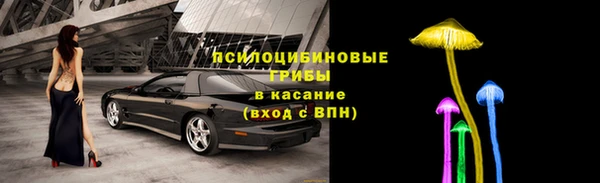 a pvp Краснослободск
